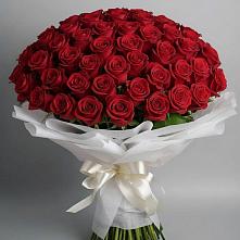 101 Красная роза Блэк Мэджик в Минусинске Букет 101 Красная роза Блэк Мэджик в Минусинске