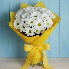Букет Застенчивые лепестки в Минусинске Букет цветов из:  Хризантемы в Минусинске