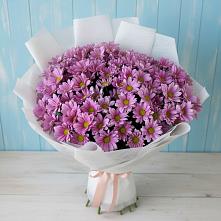 Букет сиреневая охапка в Минусинске Букет цветов из:  Хризантемы в Минусинске