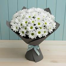 Букет белые хризантемы в Минусинске Букет цветов из:  Хризантемы в Минусинске
