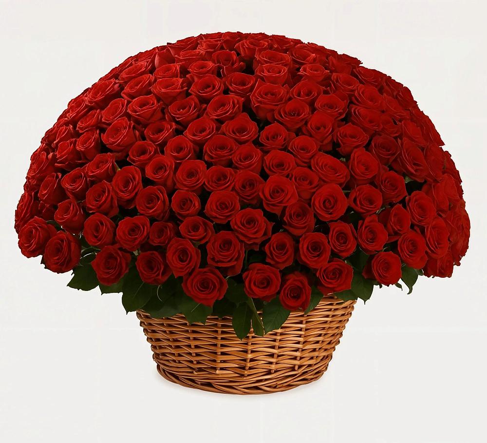 251 Премиум красная роза в Минусинске Премиум букет из: Розы в Минусинске