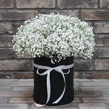 Композиция коробка гипсофил #REPLACE_PRED# Минусинске Цветочная композиция из Гипсофила в шляпной коробке #REPLACE_PRED# Минусинске