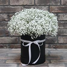 Композиция коробка гипсофил в Минусинске Цветочная композиция из Гипсофила в шляпной коробке в Минусинске