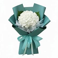 Букет Лёгкое облако #REPLACE_PRED# Минусинске Букет цветов из:  Гортензия #REPLACE_PRED# Минусинске